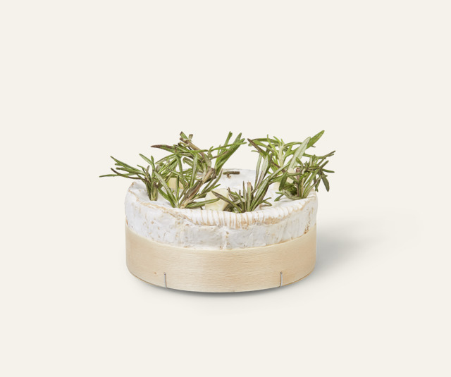 Camembert de Norm. BBQ/four