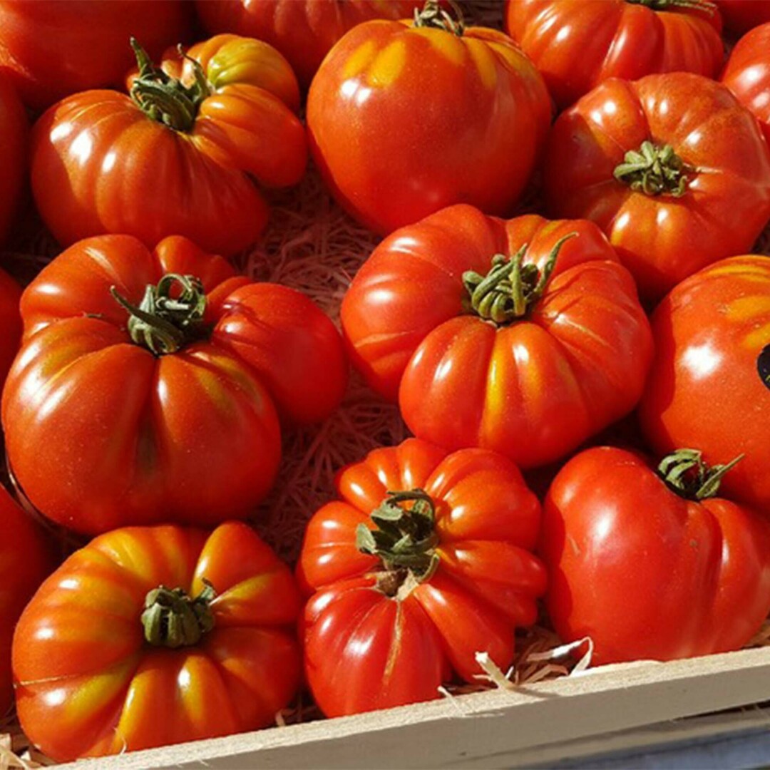 Tomaten van bij CRU.