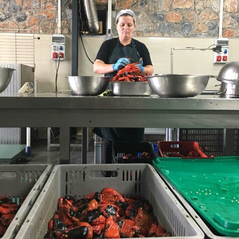 Traitement des poivrons à Naoumidis, en Grèce.