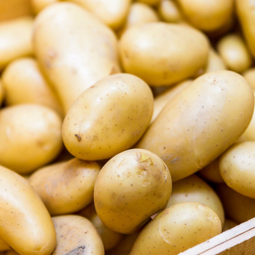 Aardappelen van bij CRU.
