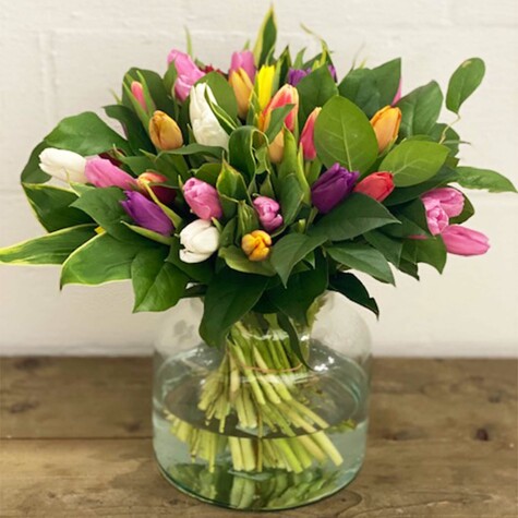 Tulipes du marché frais CRU.