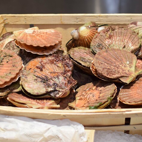 Noix de Saint-Jacques du Cru du marché frais.