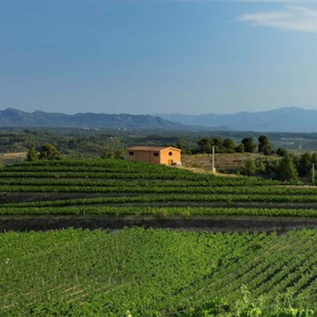 Domaine viticole Clos Galena.