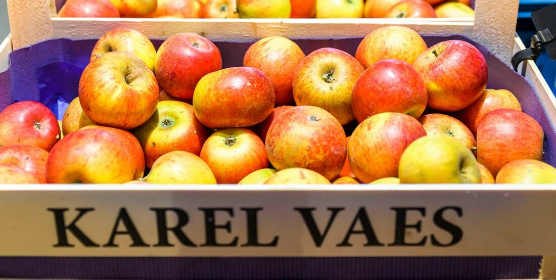 Appels van Karel Vaes.