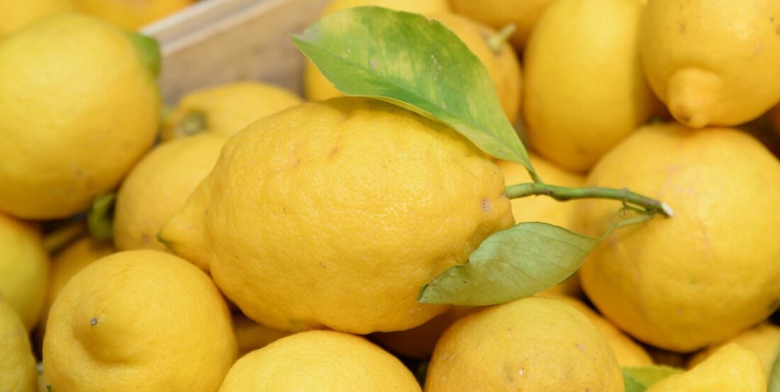Citrons d'Amalfi, disponibles au marché du frais du Cru.