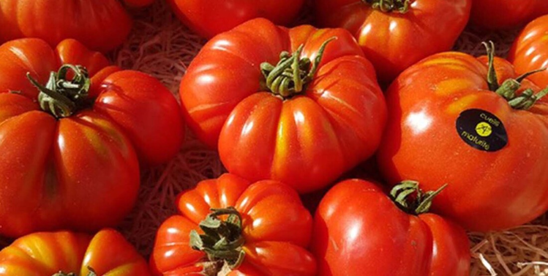 Tomaten bij versmarkt Cru