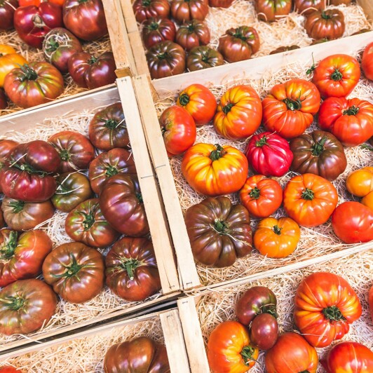 Pourquoi les tomates fraîches ne sont-elles disponibles qu'en été chez CRU ?
