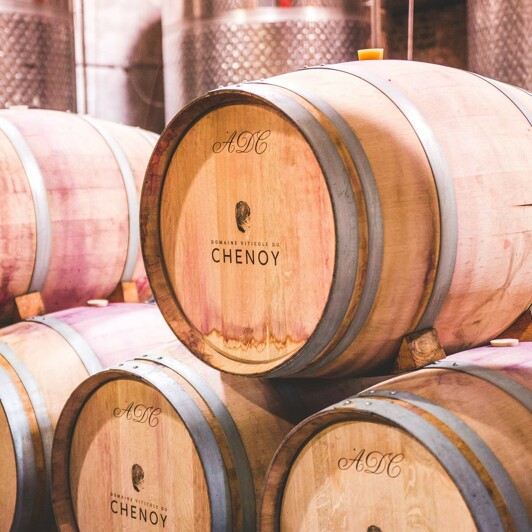 Du vin de terroir belge : le Domaine du Chenoy