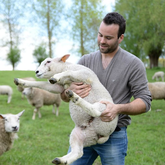 L'agneau belge de Michiels