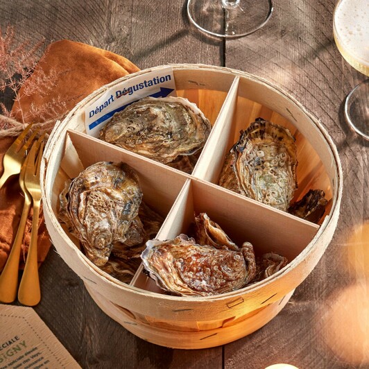 Ontdekkingsbox oesters