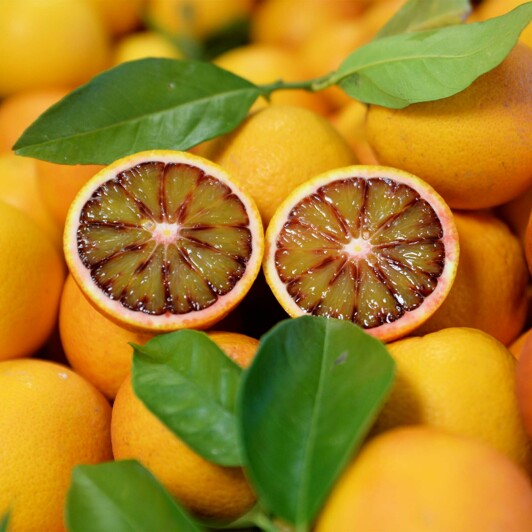 Oranges sanguines de Sicile