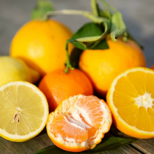 Het seizoen van citrus: sappig en smaakvol