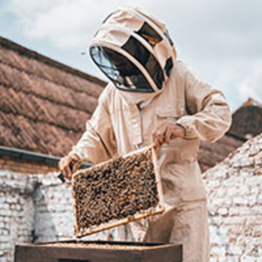 Partner op de markt CRU Dilbeek: BeesApi