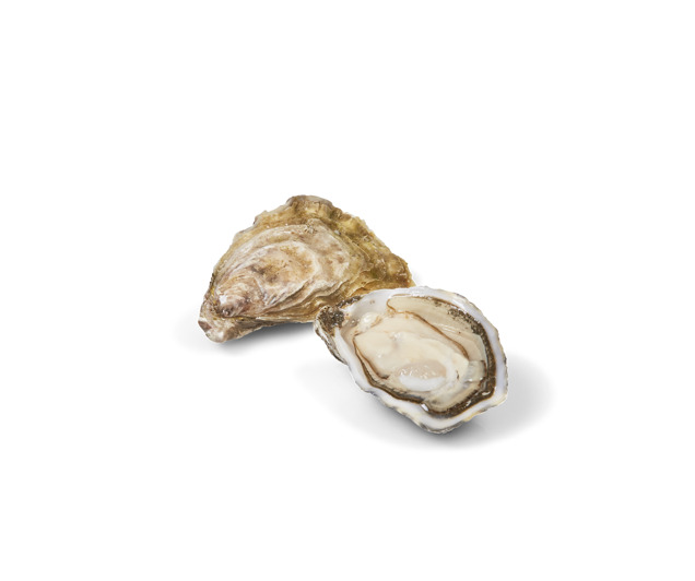 Naiades oester N°3