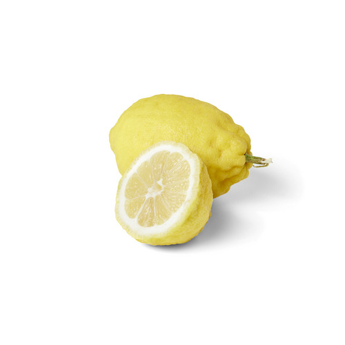 Citron Amalfi