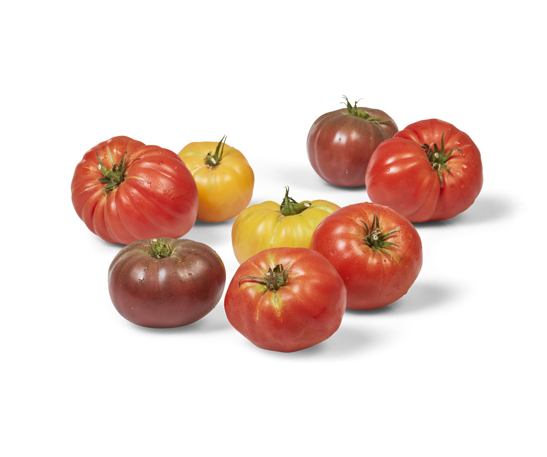 Tomates pleine terre