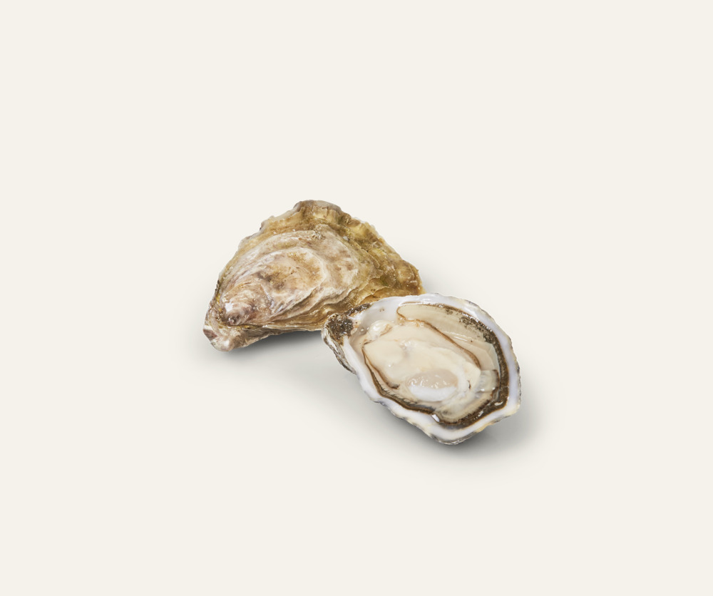 Cuvée Prestige oester Oléronnaise M3