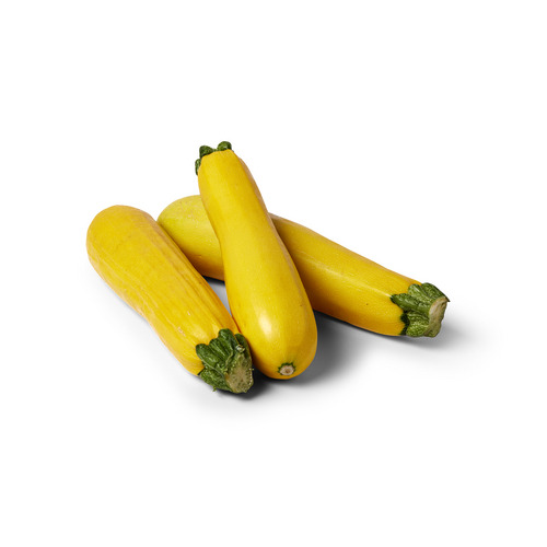 Courgette jaune long