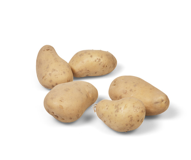 Aardappel primeur de pyrénées