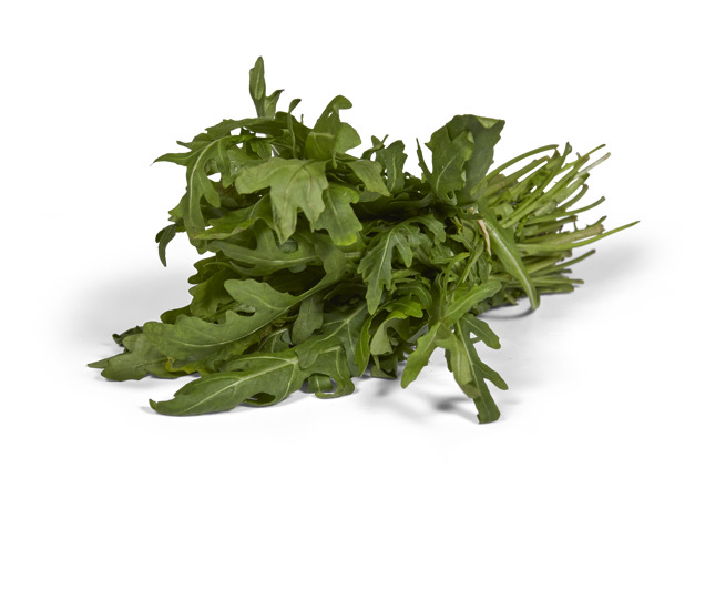 Rucola bussel