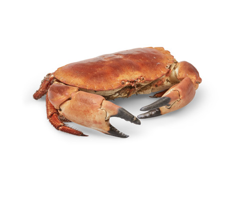 Gekookte krab 400-600g