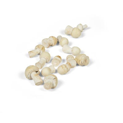 Agaric des Jachères 200gr