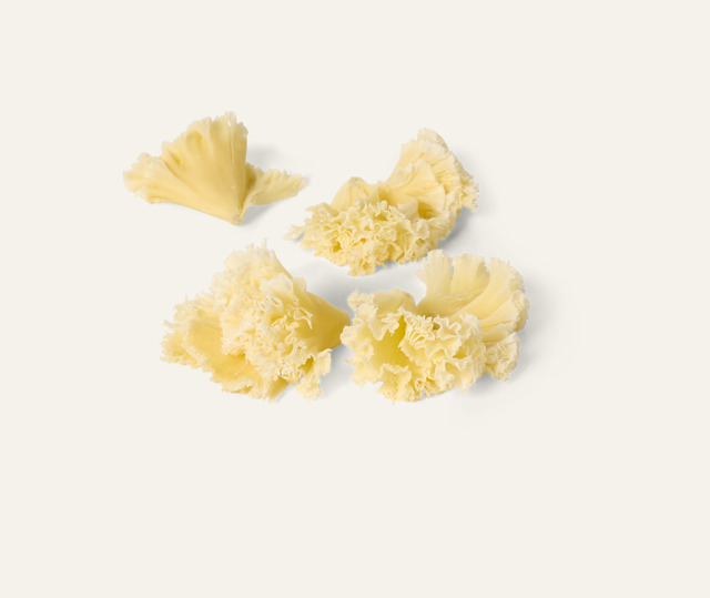 Krullen Tête de moine AOP Margot