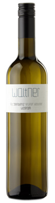 Grüner Veltliner Ried Steinbertz