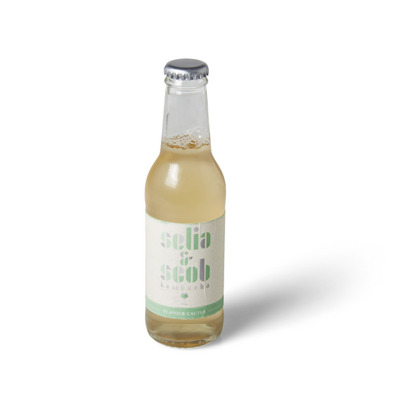 Kombucha cactus Selia&Scob