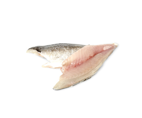 Filet de dorade