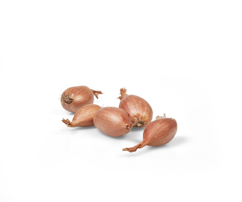 Sjalot