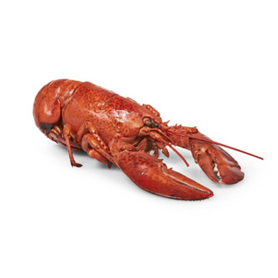 Canadese kreeft +1kg gekookt