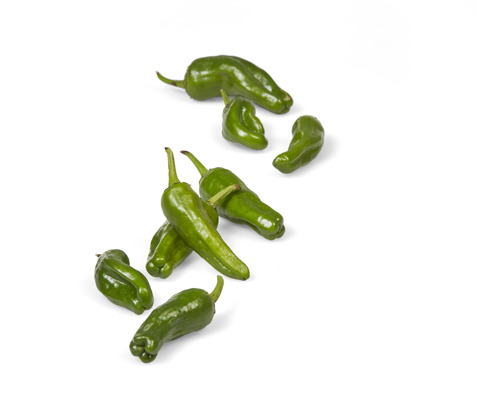 Poivron Padron