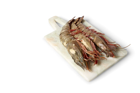 Gamba wild catch 8/12